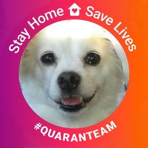 Meet your Posher, Dorothy